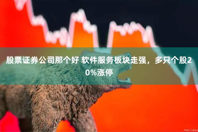 股票证券公司那个好 软件服务板块走强，多只个股20%涨停
