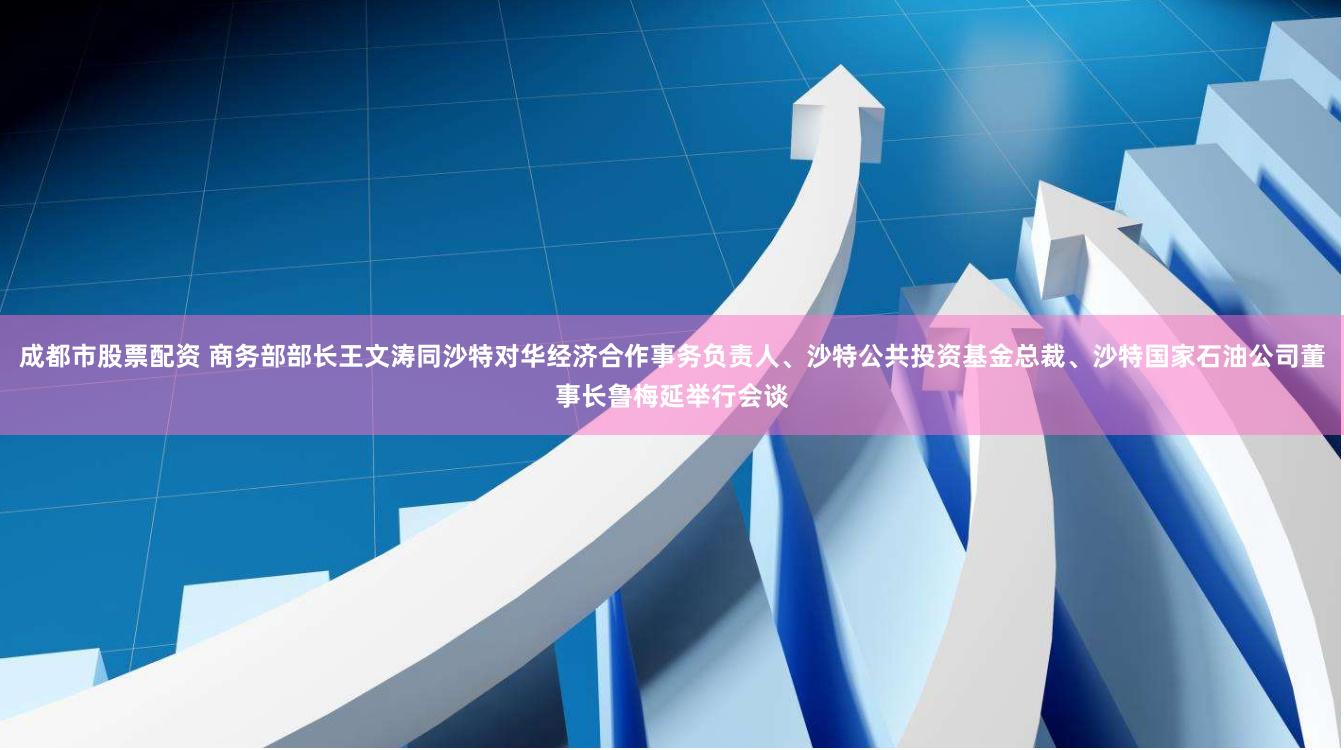 成都市股票配资 商务部部长王文涛同沙特对华经济合作事务负责人、沙特公共投资基金总裁、沙特国家石油公司