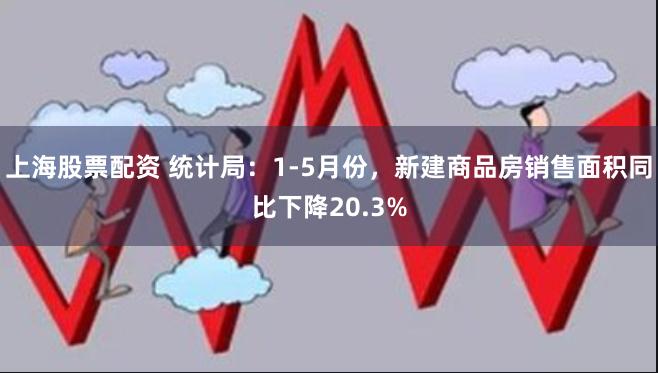 上海股票配资 统计局：1-5月份，新建商品房销售面积同比下降20.3%