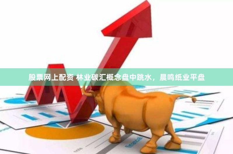 股票网上配资 林业碳汇概念盘中跳水，晨鸣纸业平盘