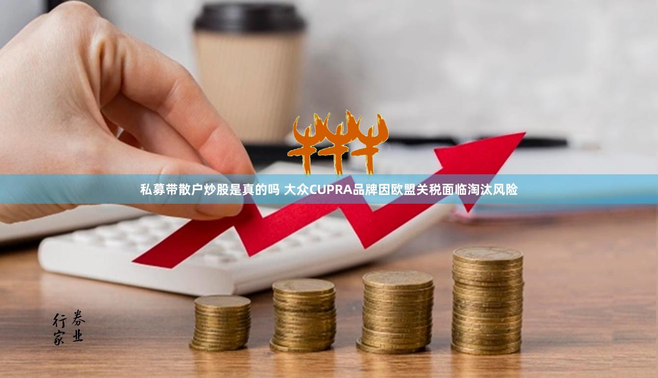 私募带散户炒股是真的吗 大众CUPRA品牌因欧盟关税面临淘汰风险