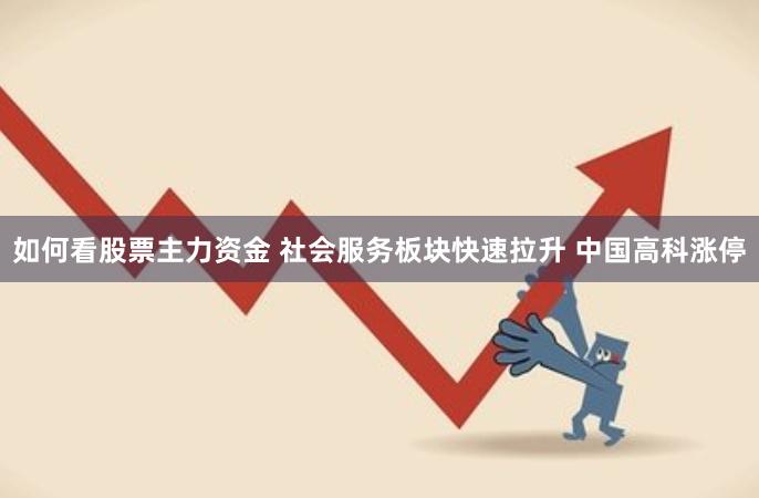 如何看股票主力资金 社会服务板块快速拉升 中国高科涨停