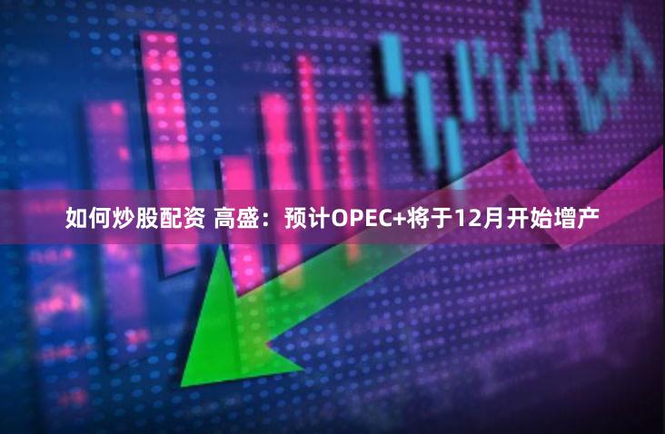 如何炒股配资 高盛：预计OPEC+将于12月开始增产